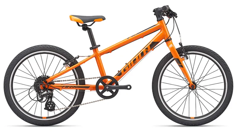2019 Giant ARX 20 Childs bike in Orange