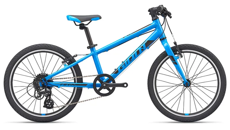 2019 Giant ARX 20 Childs bike in Blue