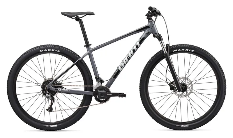 2020 Giant Talon 29 2 in Gray/ Silver