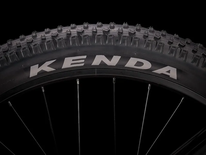 Trek Roscoe 6 Mountain Bike in Purple-4