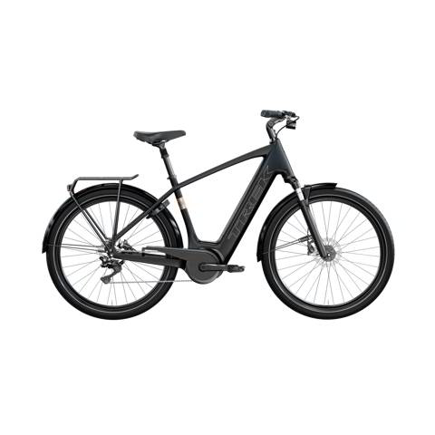 Trek verve ebike for top sale